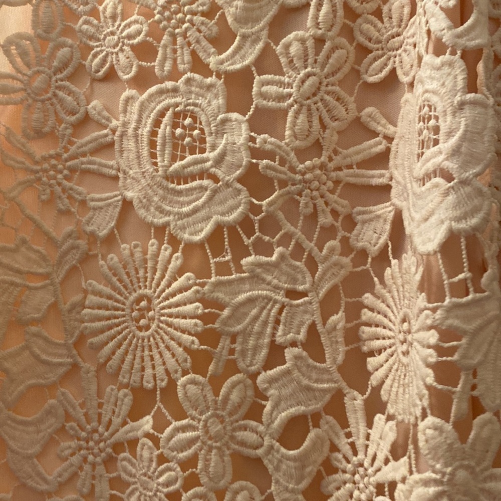 Lulu’s Blush Pink Lace Mini Dress - Picture 5 of 5